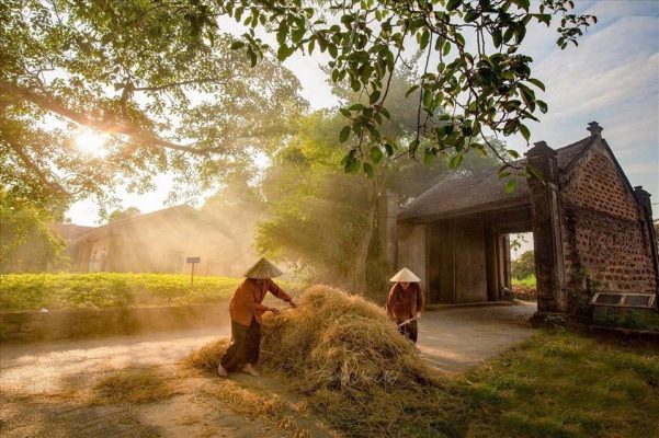 A view of Duong Lam Ancient Village during the tour
