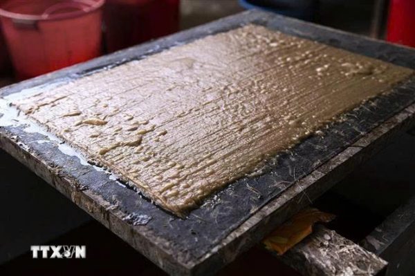 The process of making traditional Do paper