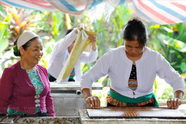 The process of making traditional Do paper