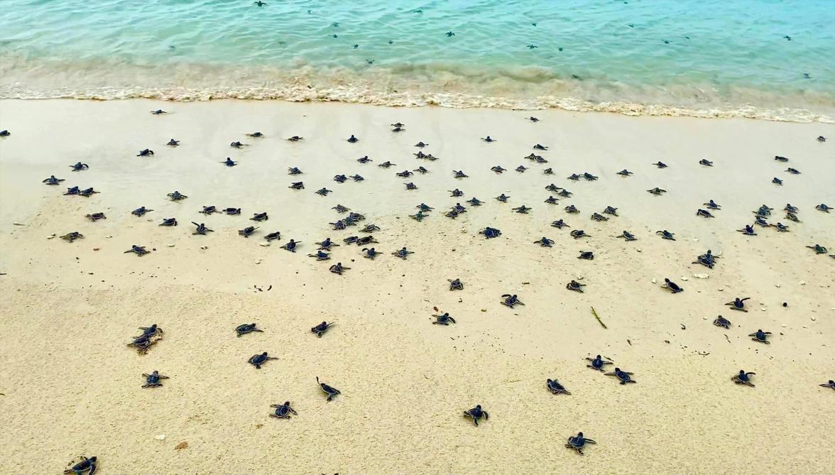 Practical context — Vietnam Honeymoon Destinations