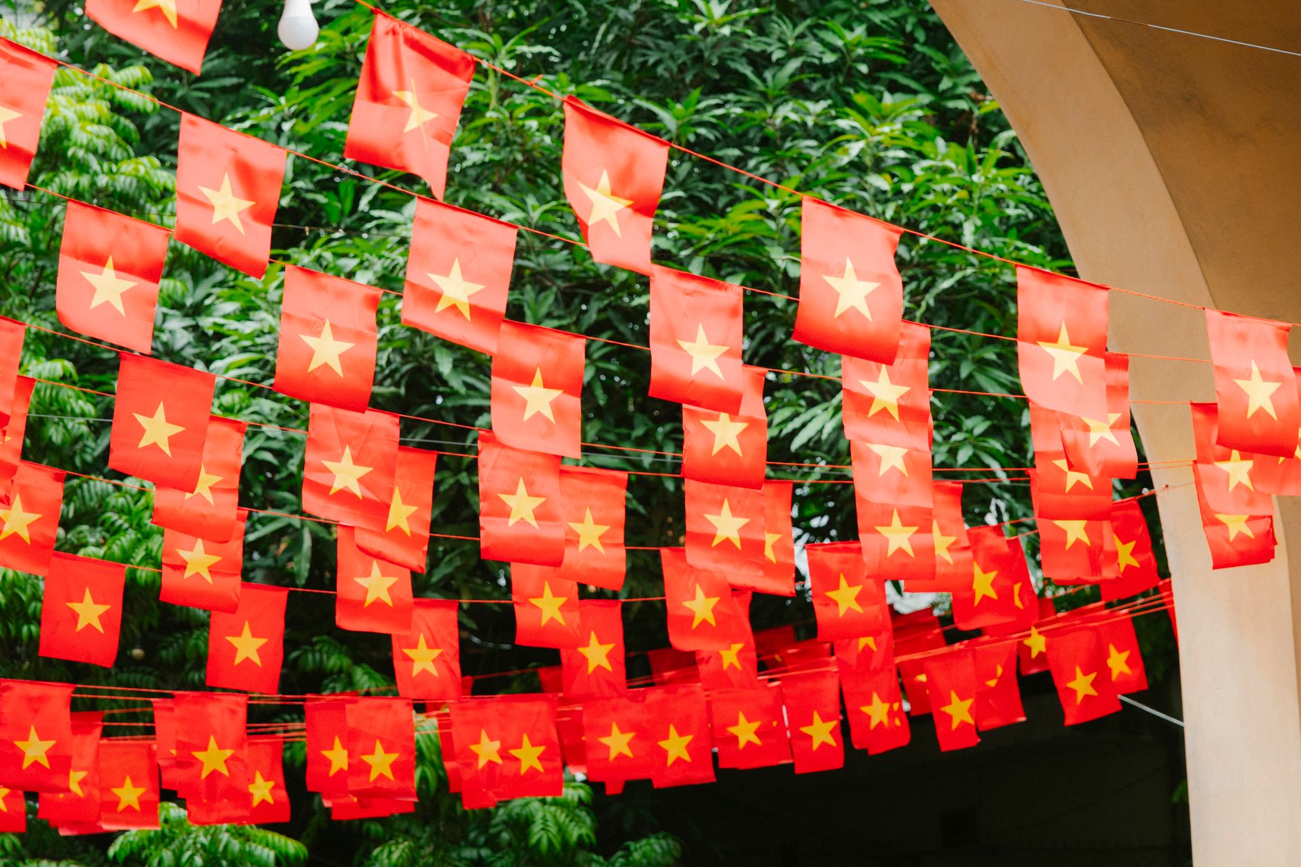 Planning Notes — Rows of vibrant Vietnamese flags with yellow stars hanging outdoors under trees. (photo: HONG SON)