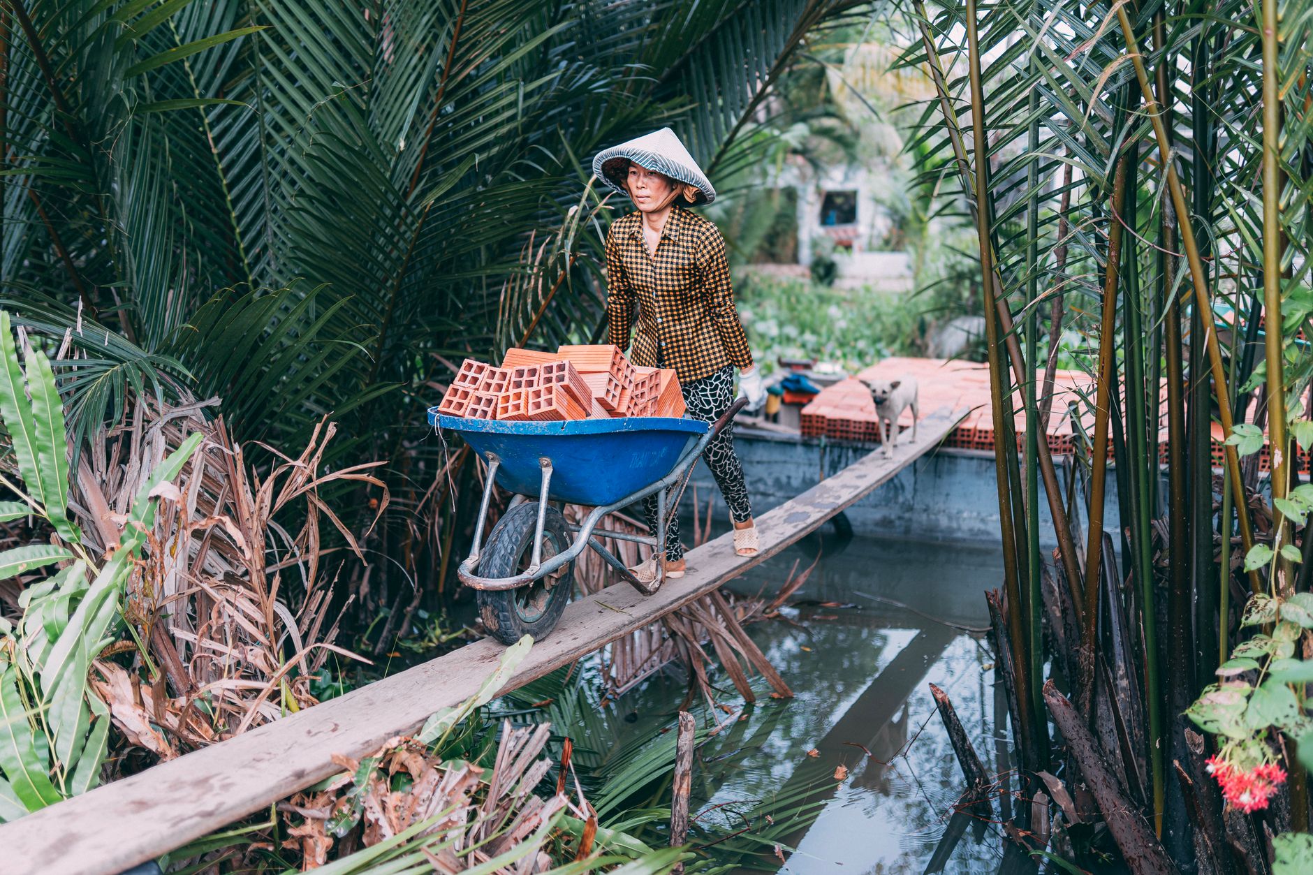 Conclusion — A woman skillfully balances bricks in a wheelbarrow over a narrow canal bridge i (photo: Mahmut Yılmaz)