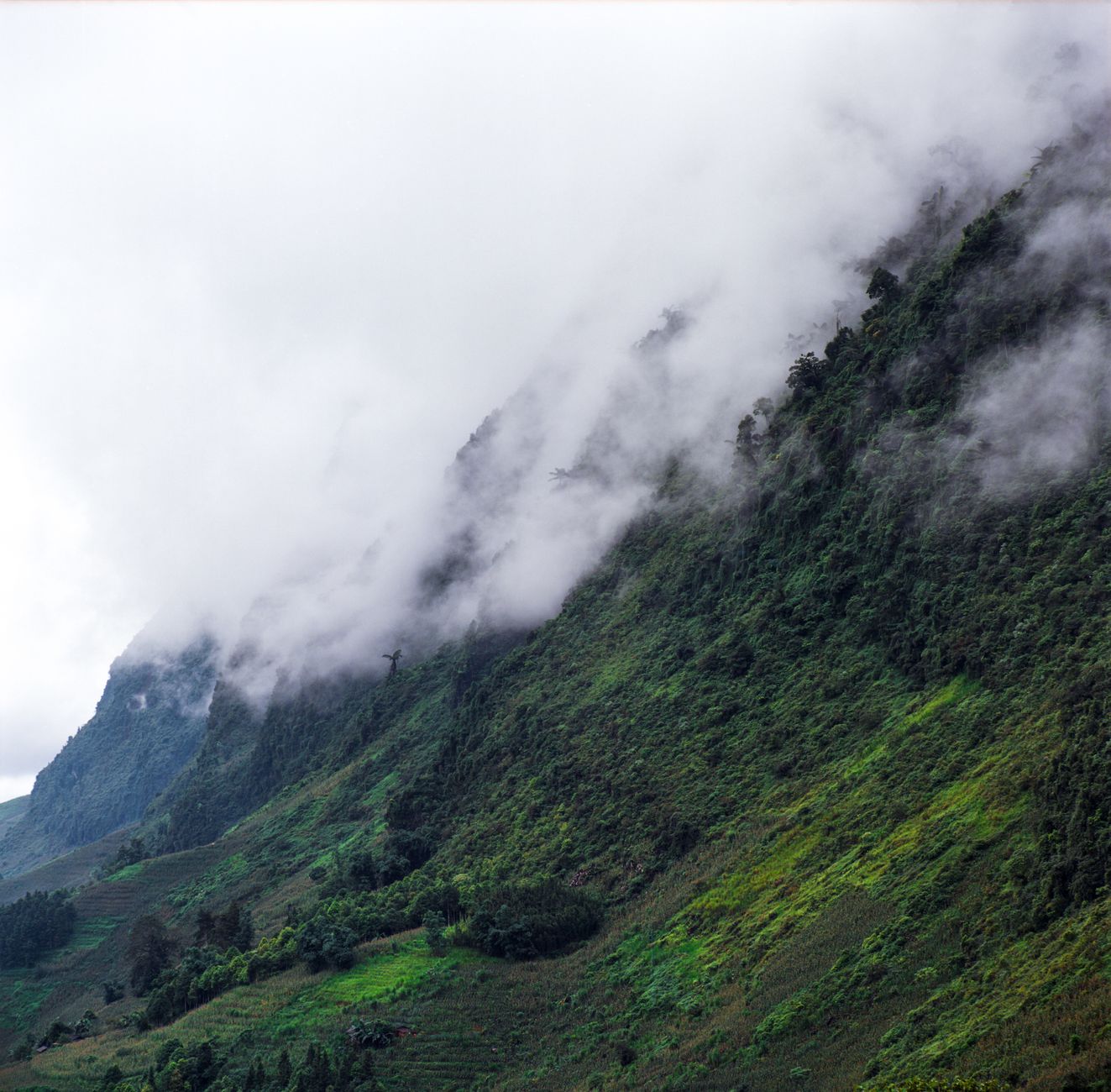 Ba Den Mountain in Practice — Lush green mountains shrouded in mist and fog in Hà Giang, Vietnam. (photo: Q. Hưng Phạm)