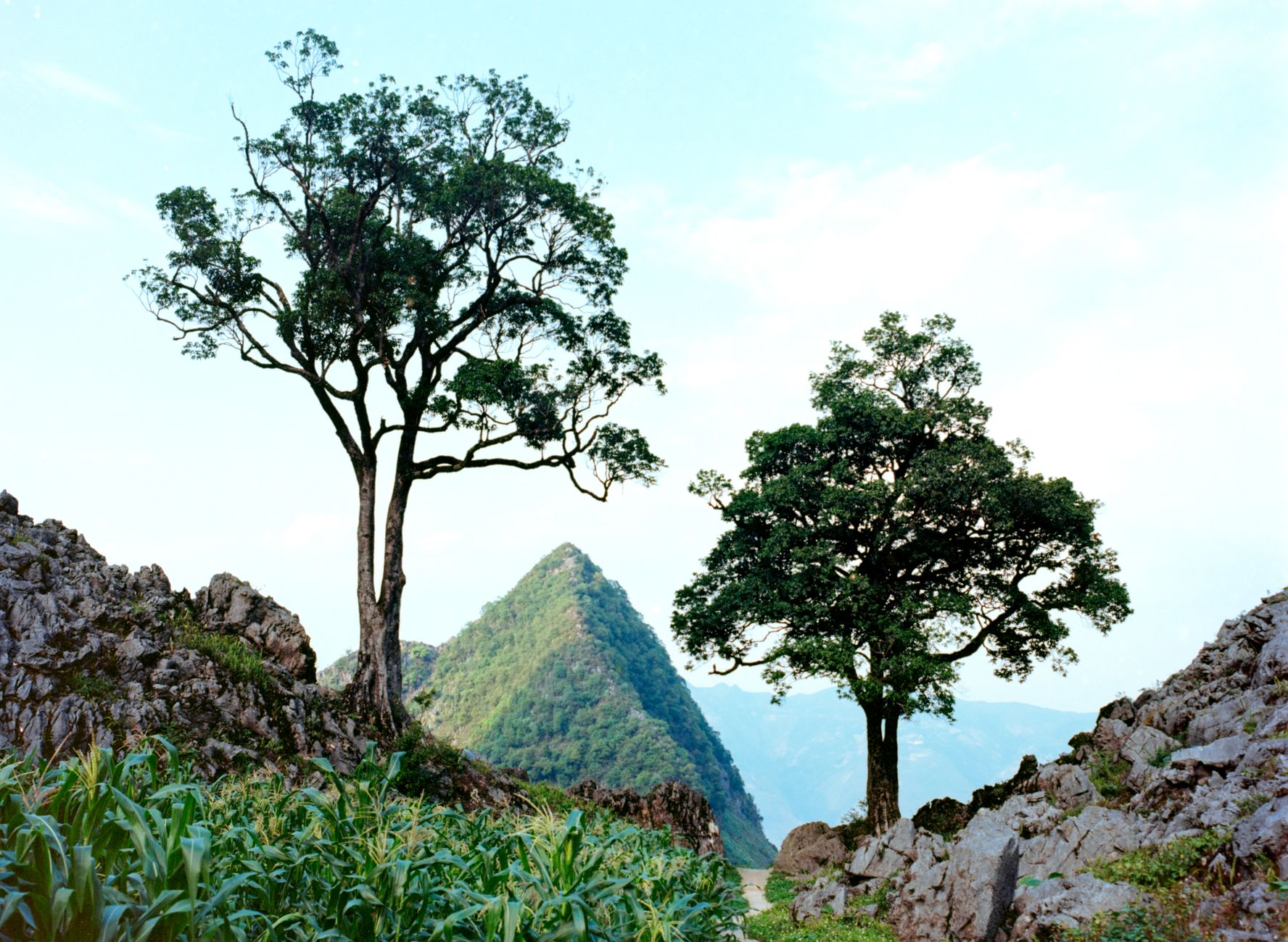 What to Expect on the Ground — Stunning landscape of mountain peaks and trees set against a vibrant blue sky. (photo: Q. Hưng Phạm)