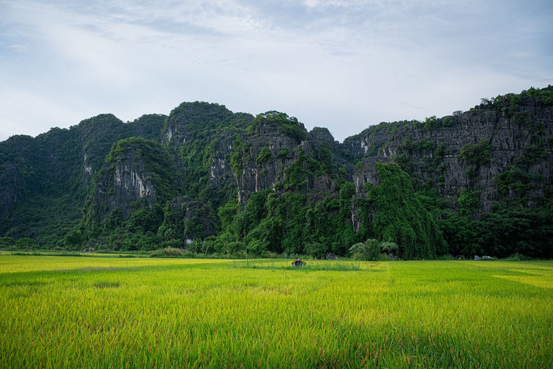 Conclusion — Scenic view of rice fields and limestone mountains in Hanoi, Vietnam. (photo: Talha Kılıç)