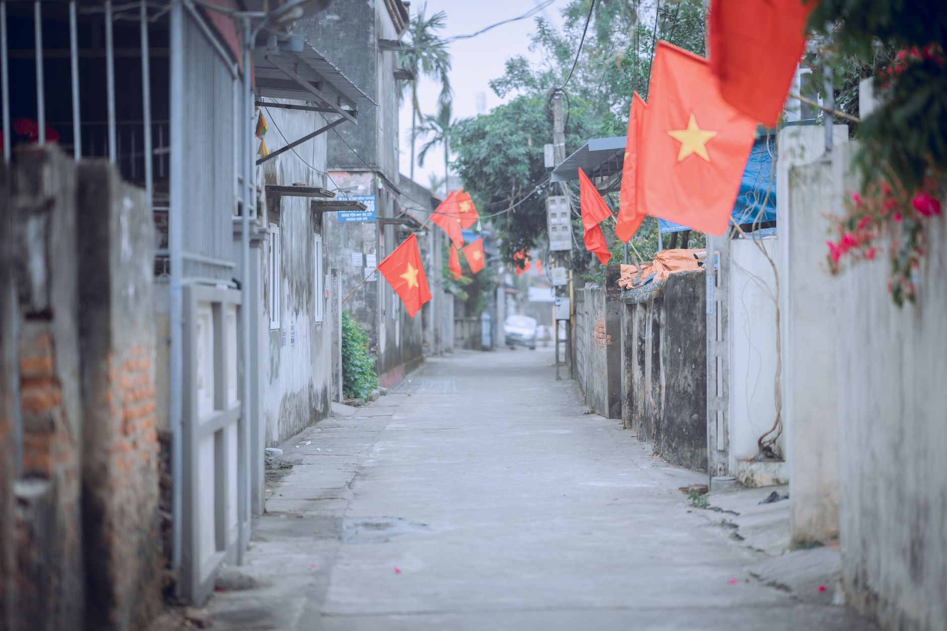 Planning Notes — A tranquil street scene in Vietnam with national flags displayed along the path. (photo: Tuấn Kiệt Jr.)