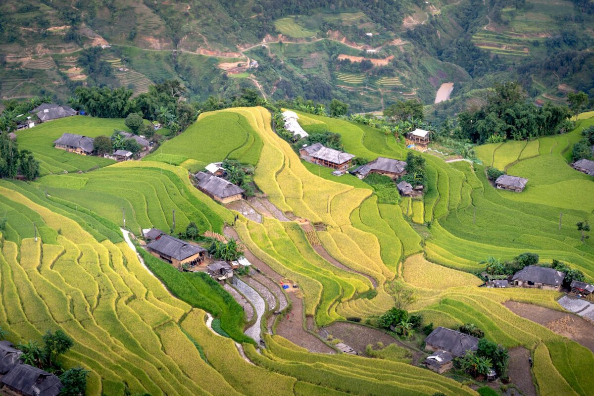 Stunning aerial view of green terraced rice fields and farmhouses in a rural Vietnamese landscape. — photo: Quang Nguyen Vinh