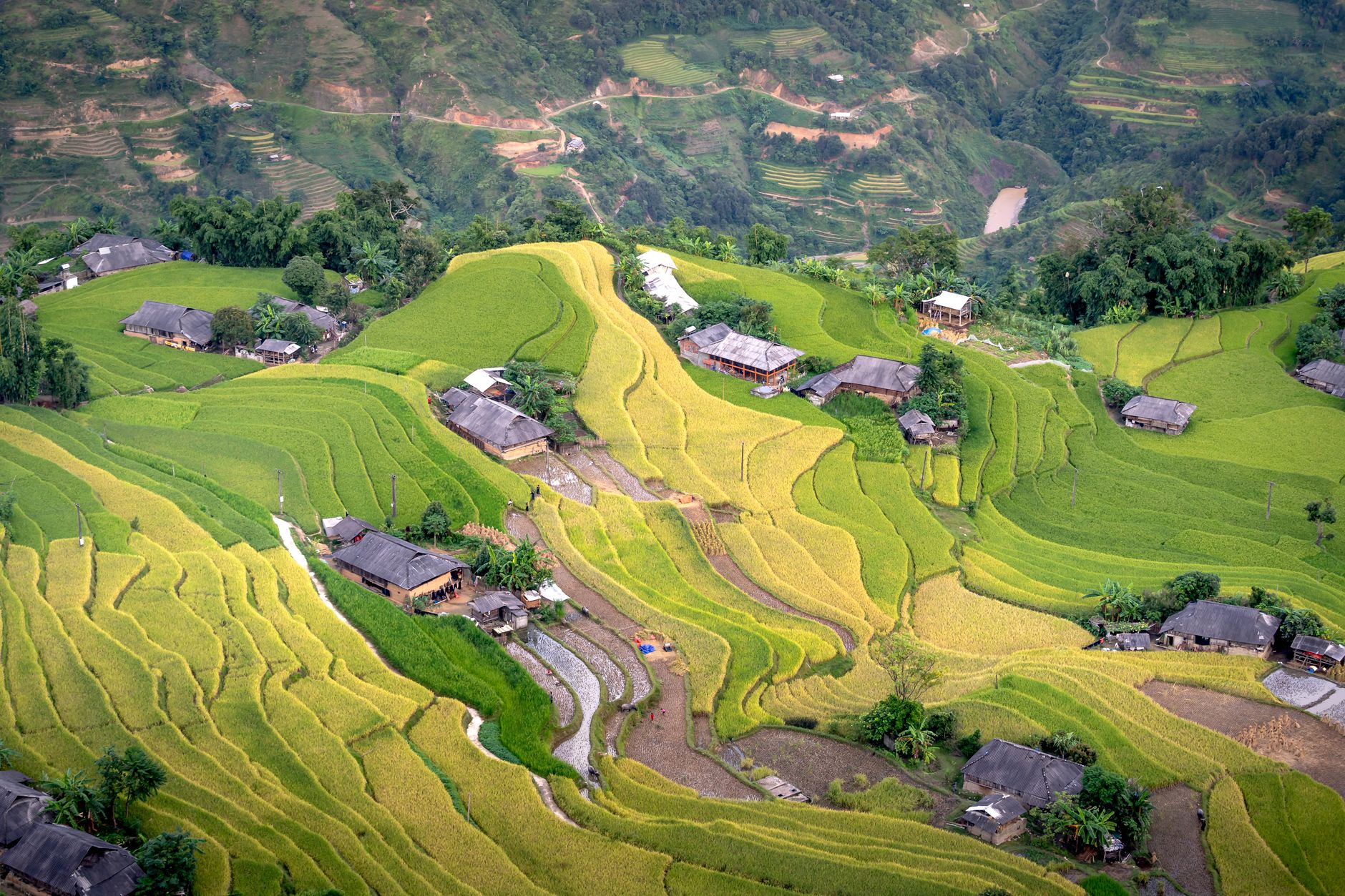 Nearly Matches in Practice — Stunning aerial view of green terraced rice fields and farmhouses in a rural Vie (photo: Quang Nguyen Vinh)