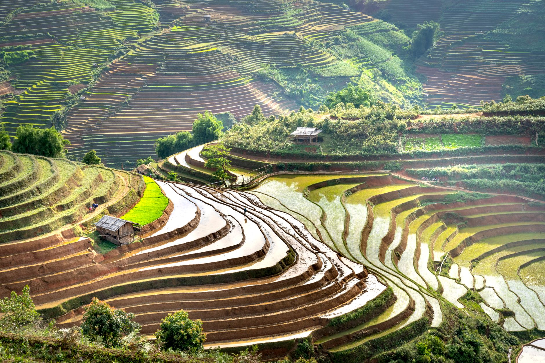 Planning Notes — A breathtaking aerial shot of lush green rice terraces under the summer sun. (photo: Quang Nguyen Vinh)