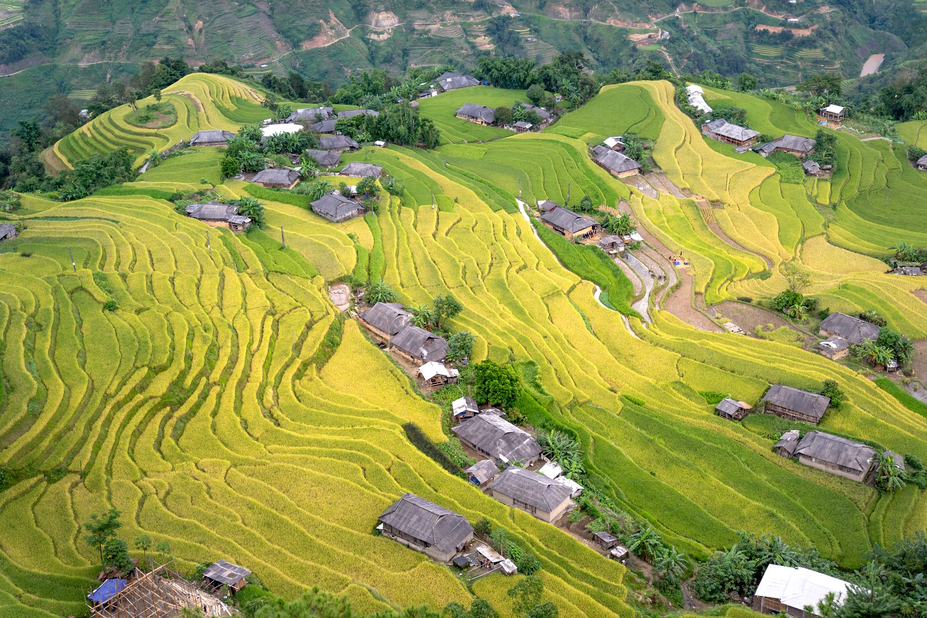 Nearby Ideas — A breathtaking aerial shot capturing lush rice terraces in a rural valley. (photo: Quang Nguyen Vinh)